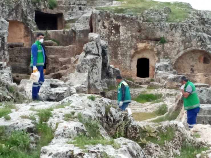 Tarihi Mekanda İlaçlama Yapıldı