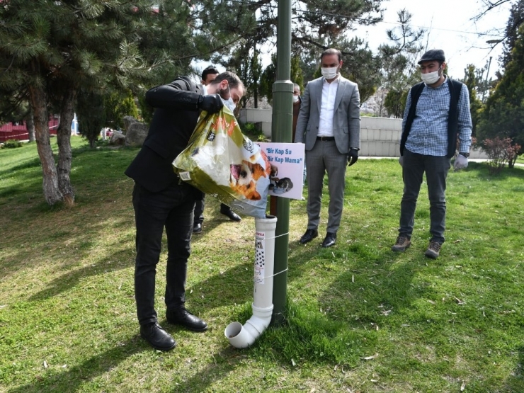 Ak Parti Ankara İl Gençlik Kolları Hayvanlar İçin Harekete Geçti