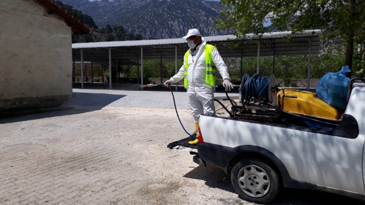 Korona Testi Pozitif Çıkan Yaşlı Kadının Evi Dezenfekte Edildi