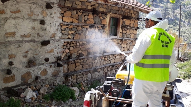 Korona Testi Pozitif Çıkan Yaşlı Kadının Evi Dezenfekte Edildi