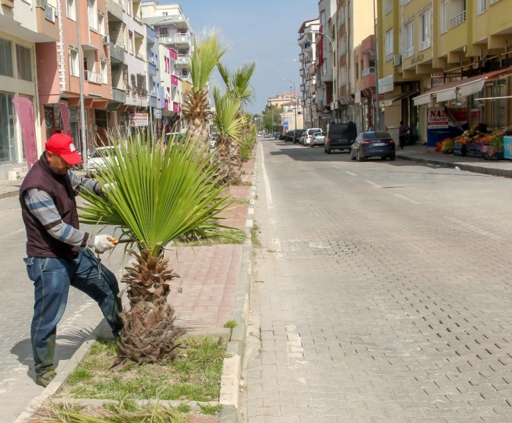 Araban Belediyesi’den Yeşillendirme Seferberliği