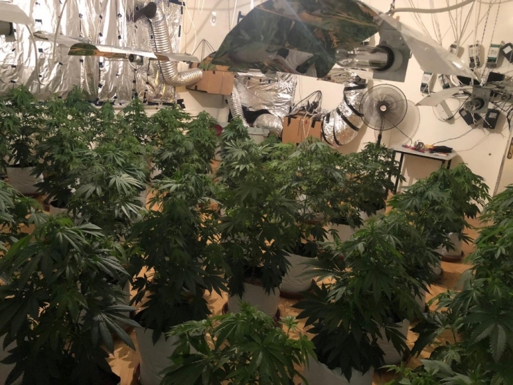 Avcılar’da Uyuşturucu Serasına Dönüştürülen Eve Baskın