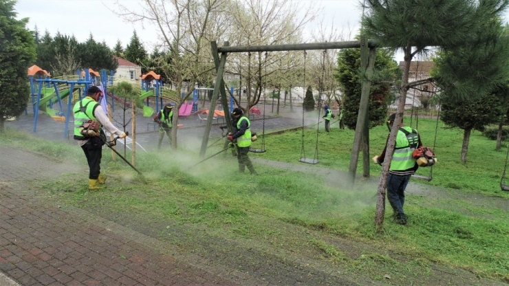 Başiskele’nin Yeşil Alanlar Bakımdan Geçiriliyor