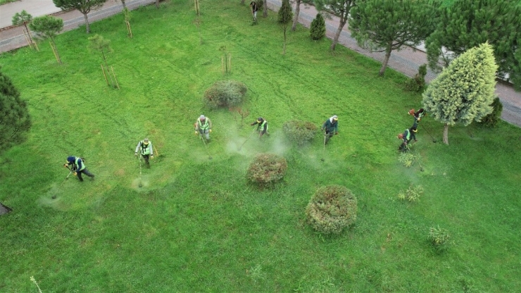 Başiskele’nin Yeşil Alanlar Bakımdan Geçiriliyor