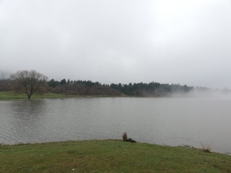 Bu Köyden Hem Uludağ Hem De Kartepe Görülüyor
