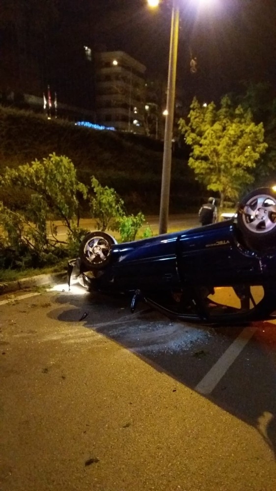 Kediyi Ezmemek İçin Ağaca Çarptı