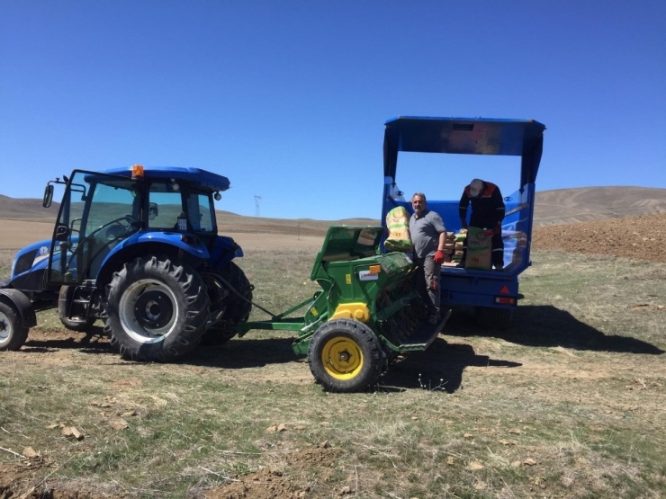 Çiftçiler Yüzde 75 Hibeli Tohumları Tarlalarına Ekmeye Başladı
