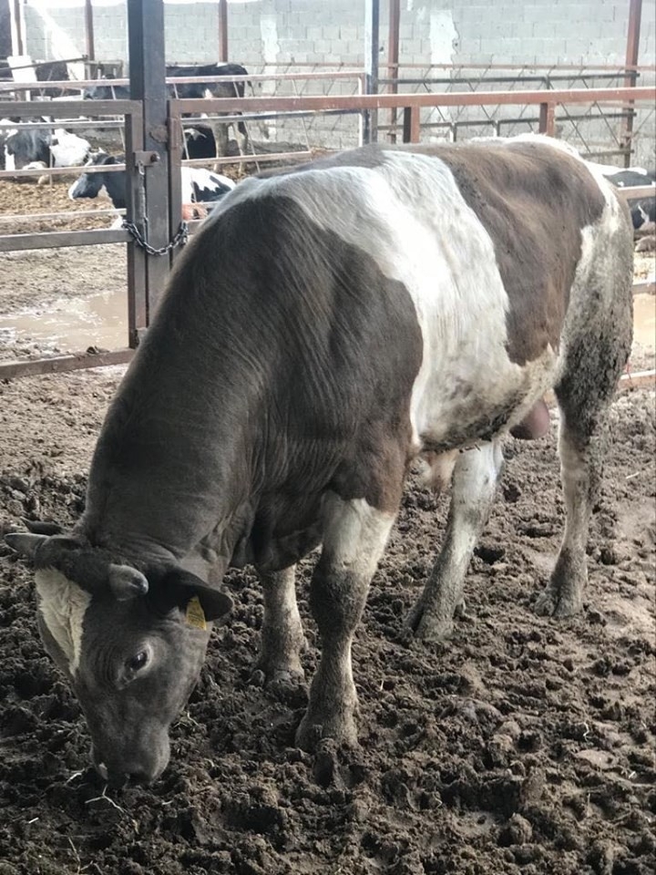 Develi Belediye Meclis Üyesi İsmail Yazıcı’dan Örnek Davranış