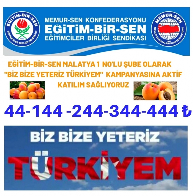 Eğitim Bir Sen’in Hedefi Kampanyada Malatya Plakası