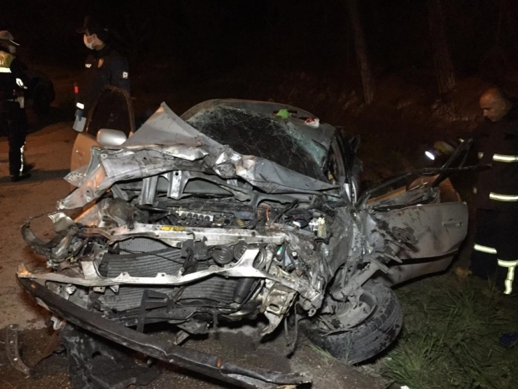 Ağaca Çarpan Sürücü Ağır Yaralandı