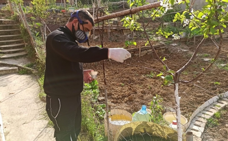 Büyükşehir Gebze’de Vektörle De Mücadele Ediyor