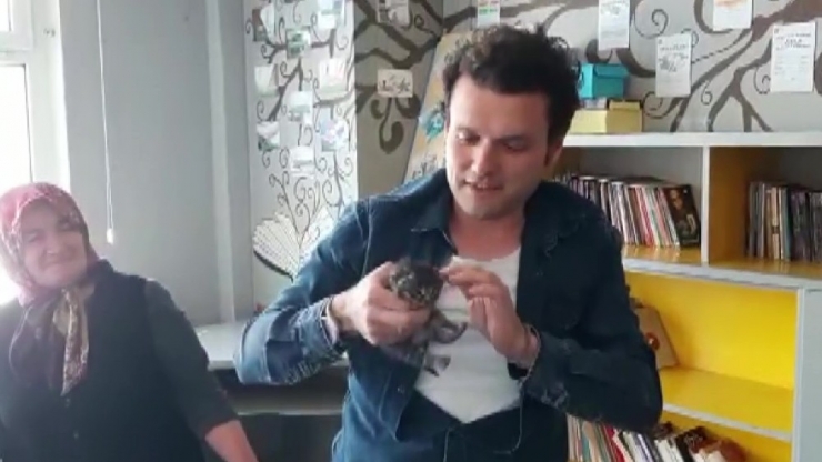 Dolabın Altına Sıkışan 3 Yavru Kediyi Okul Müdürü Kurtardı