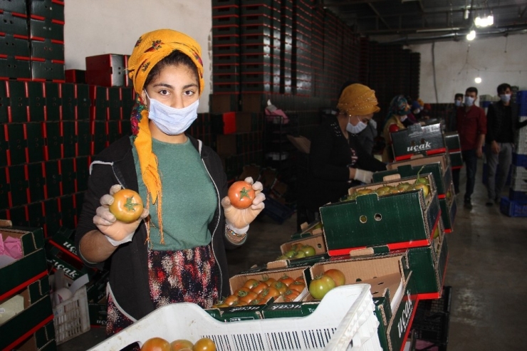 Türkiye İhracat Şampiyonu Uçak, Endişeleri Giderdi