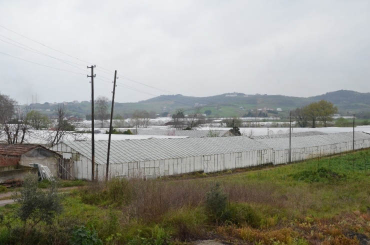 Yalova Ziraat Odası Uyardı:
