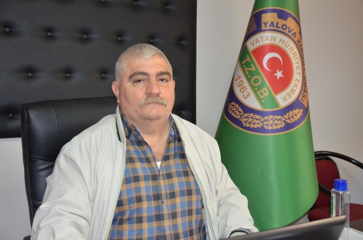 Yalova Ziraat Odası Uyardı: