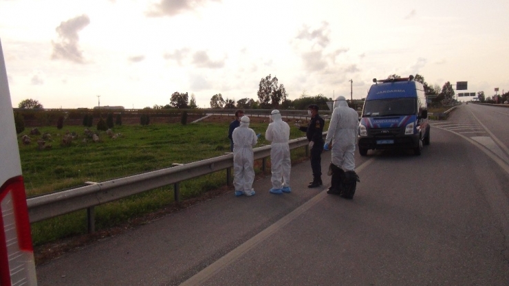 Jandarma Ve Sağlıkçıların Güçlükle İkna Ettiği Korona Şüphelisi, Getirildiği Hastaneden Kaçtı