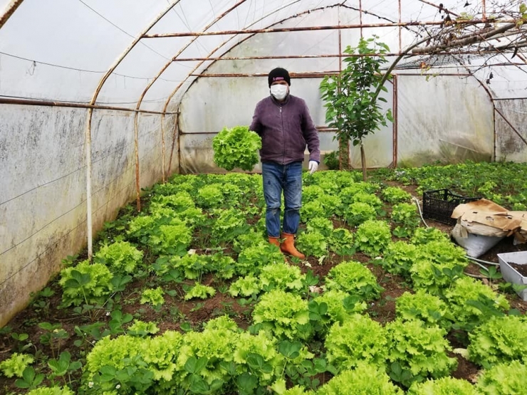 Üreticiler Bahçelerindeki Ürünlerin Satın Alınmasını İstiyor