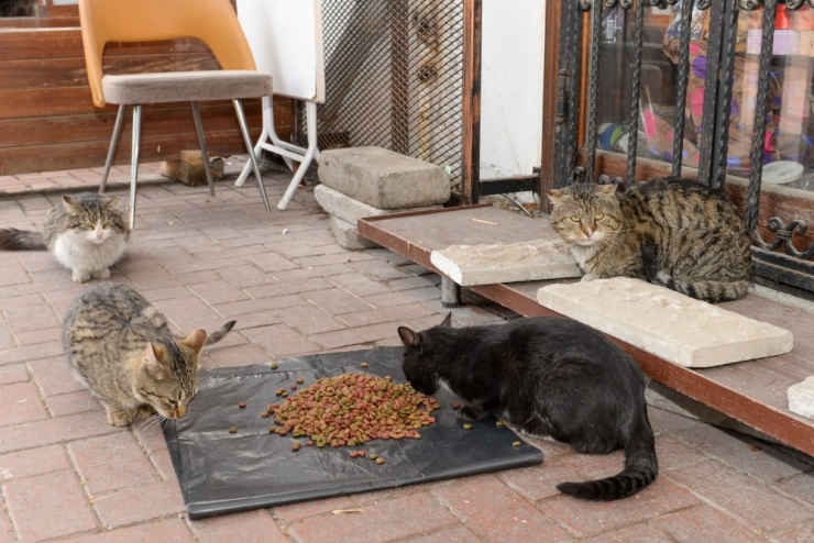 Altındağ, Hafta Sonu Uygulanacak Olan Sokağa Çıkma Yasağına Hazır