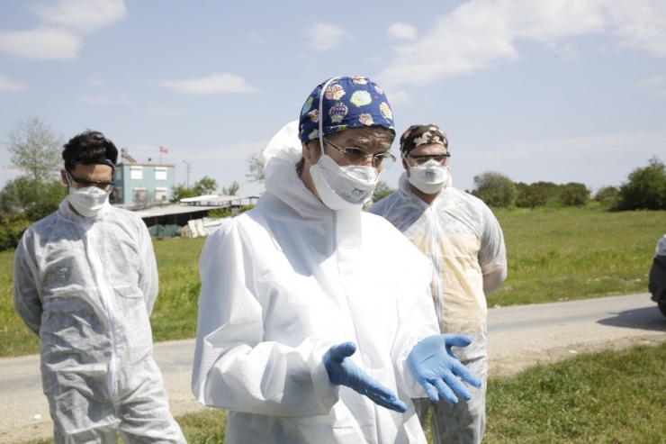 Başkan Böcek Serik’te Üreticileri Ziyaret Etti