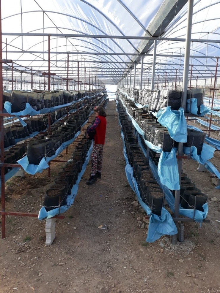 Çiftçiye Destek Sürüyor