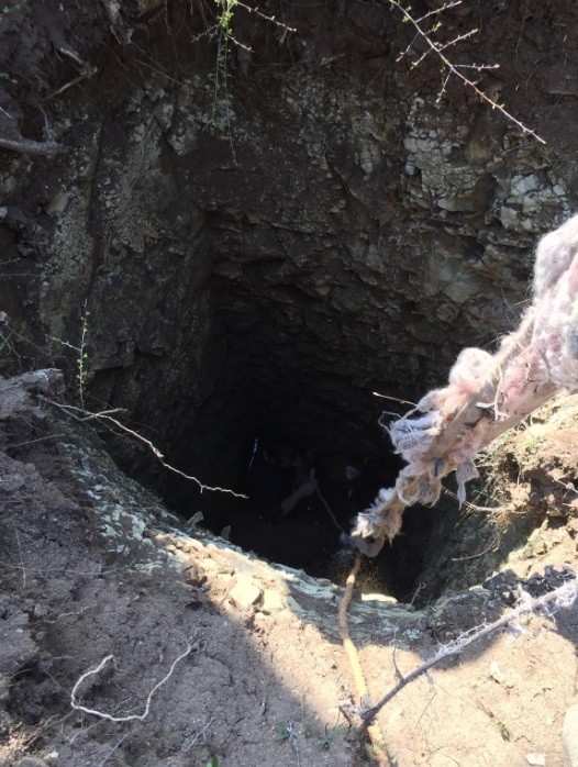 Define Çukuruna Düşen İnek Kurtarıldı