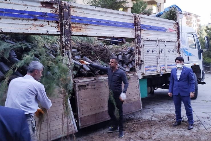 Boşatlılar Derneğinden Fidan Dağıtımı