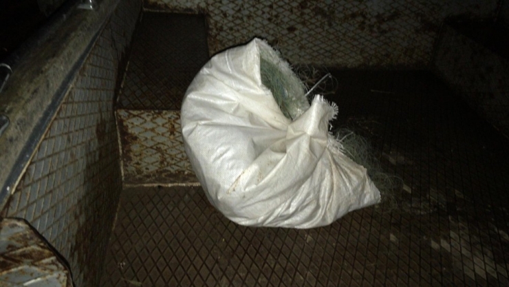 Elazığ’da Kaçak Balık Avcılarına Korona Cezası