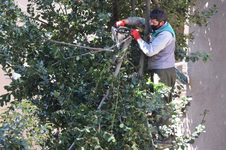 Engelli Vatandaştan Başkan Hürriyet’e Teşekkür