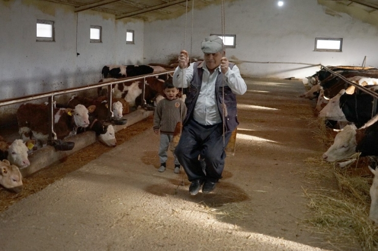 Sokağa Çıkamayan Dede Ve Torunları, Ahırda Salıncak Binerek Vakit Geçiriyor