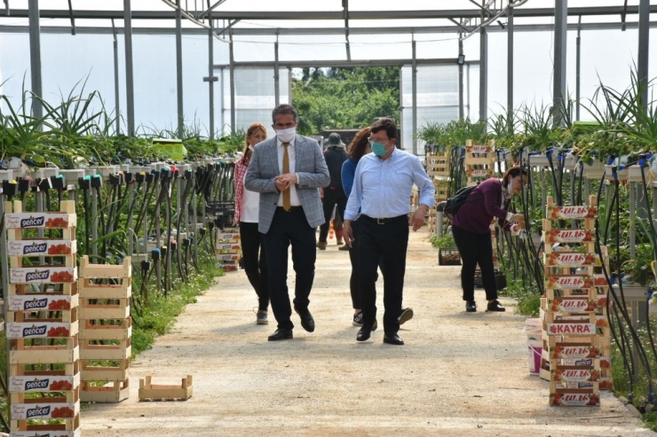 Kaymakam Şahin Tarım Üreticilerini Ziyaret Etti
