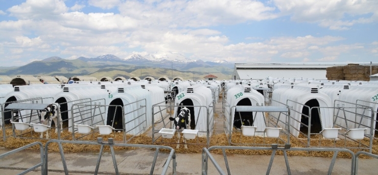 Kayseri Şeker ’Pandoğa’ İle Bir İlke İmza Attı