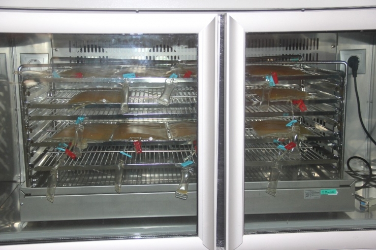 Korona Virüsten Kan Stoklarına Büyük Darbe