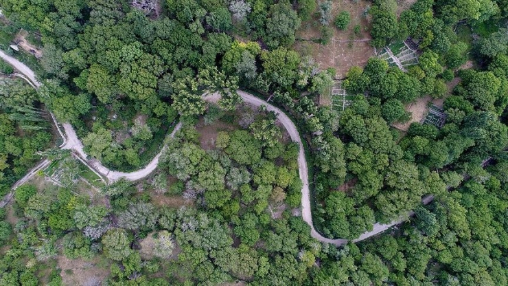 Başkan Palancıoğlu: "Koramaz Vadisi Hak Ettiği Değeri Buldu"
