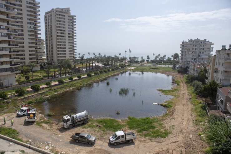 Bir Ayda Larva Ve Uçkun Oluşturan 56 Bin 82 Alanı İlaçlandı