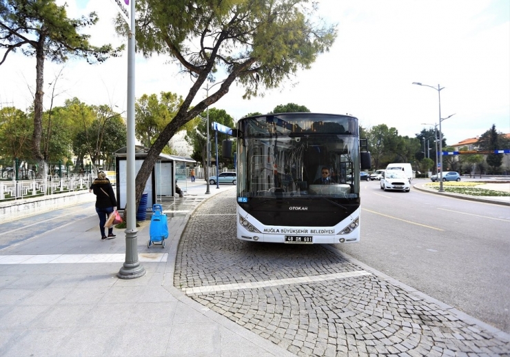 Muğla’da Toplu Ulaşım Kullanımı Yüzde 90 Azaldı