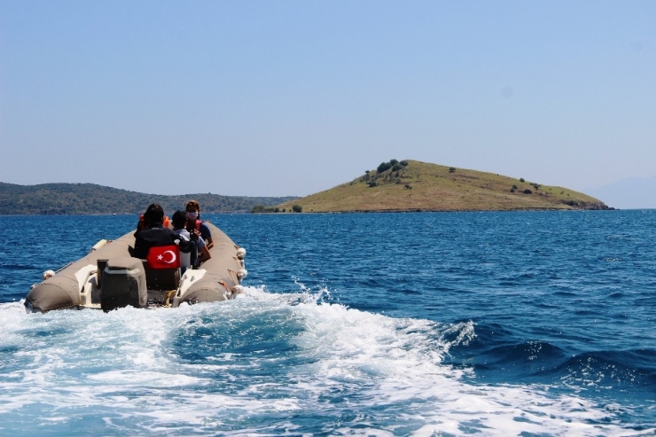 ’Issız Adada Köpek Var’ İhbarı Ekipleri Seferber Etti