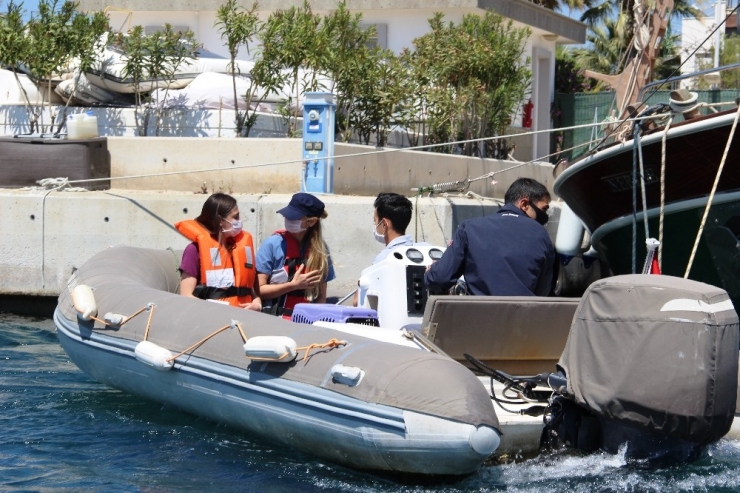 ’Issız Adada Köpek Var’ İhbarı Ekipleri Seferber Etti