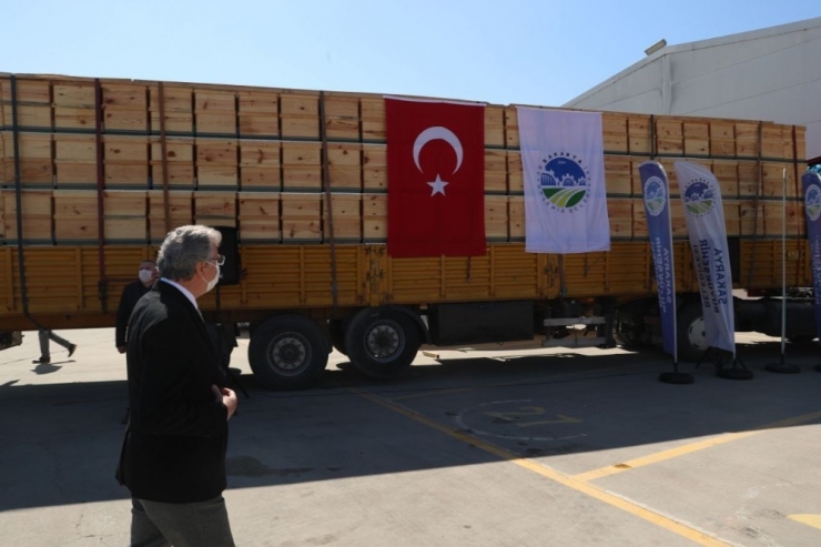 Arı Sütü Sakarya’da Üretilecek