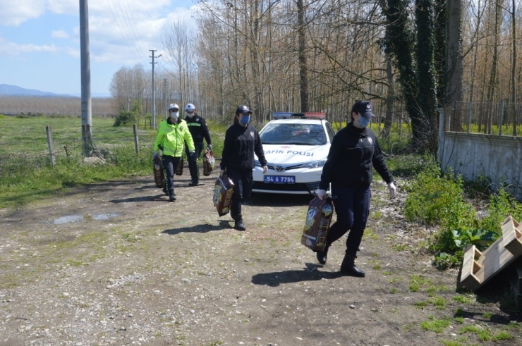 Emniyet Müdürü Fatih Kaya Sokak Hayvanlarına Mama Gönderdi