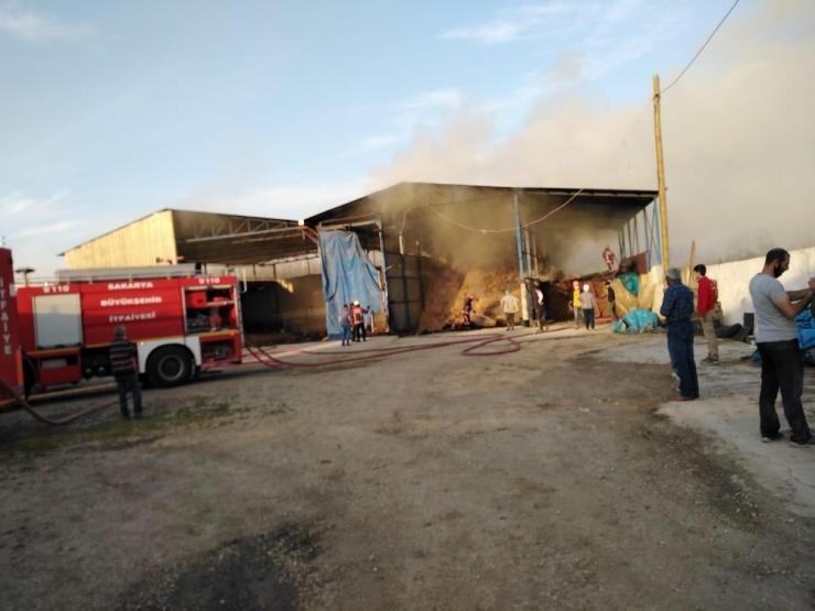 Besi Çiftçiliğinde Çıkan Yangın Kontrol Altına Alındı