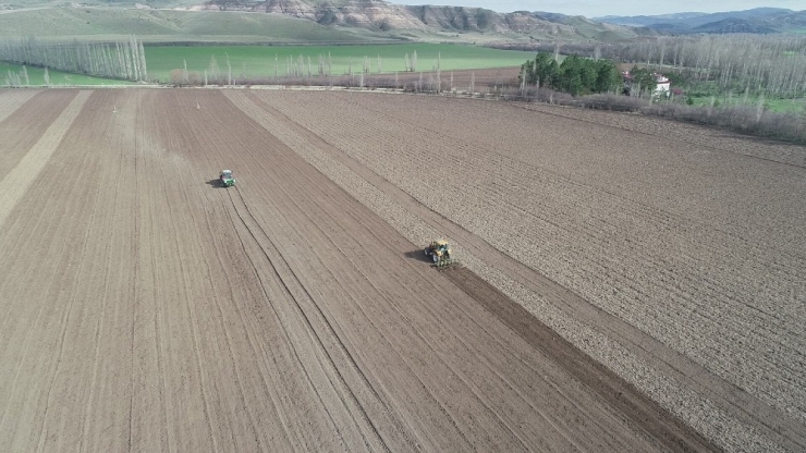 Korona Tarımsal Üretime Engel Olmadı