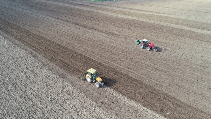 Korona Tarımsal Üretime Engel Olmadı