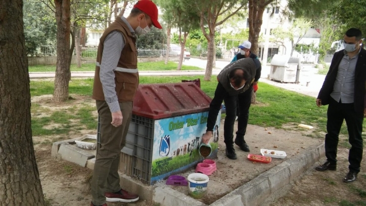 Yunusemre Sokak Hayvanlarını Unutmuyor