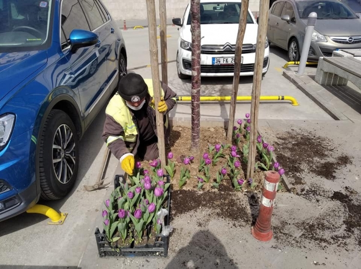 Altındağ Belediyesinden Ağlık Çalışanlarına Rengârenk Moral