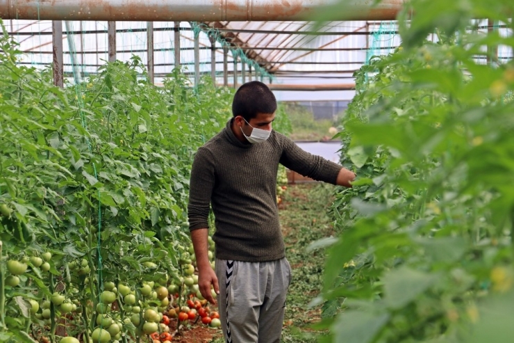 Antalya’da Üretim Son Gaz Devam Ediyor