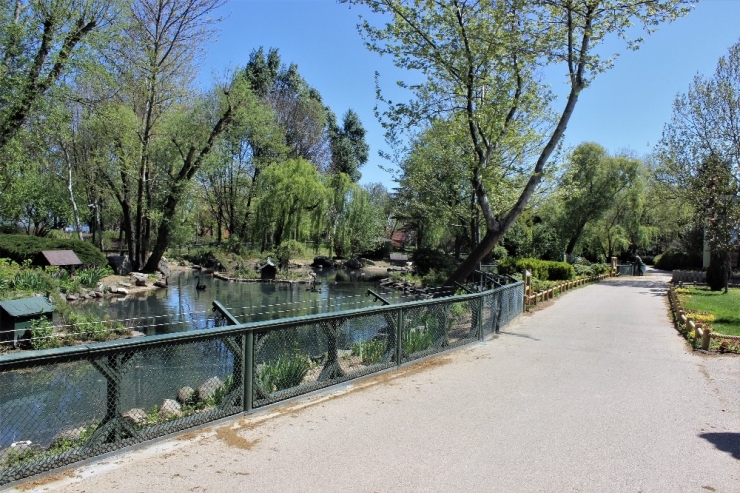 Avrupa’da Hayvanlara Kıyım, Bursa’da Ziyafet Var