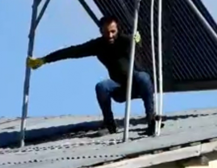 Tilki Kedinin Saldırısıyla Neye Uğradığını Şaşırdı