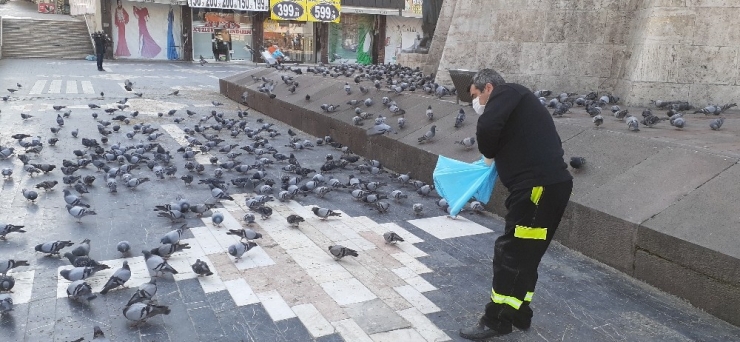 Ankara Ulus Meydanı’nda Öksüz Kalan Güvercinler Unutulmadı
