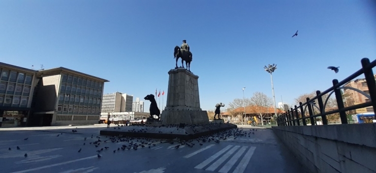 Ankara Ulus Meydanı’nda Öksüz Kalan Güvercinler Unutulmadı