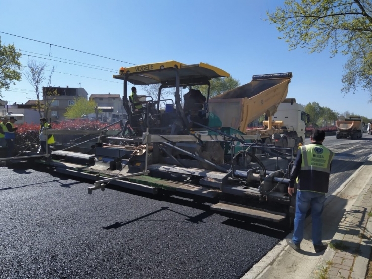 Mudanya Yoluna Neşter